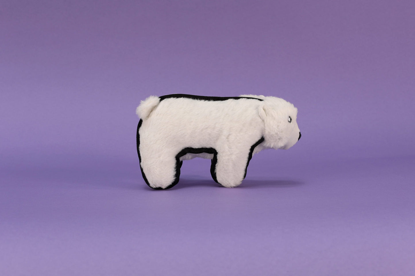 Pluto the Polar Bear