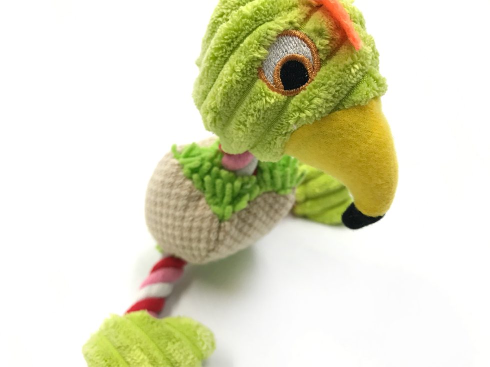 Burt the Ballistic Bird