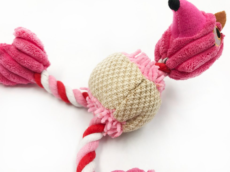 Bonnie the Ballistic Bird