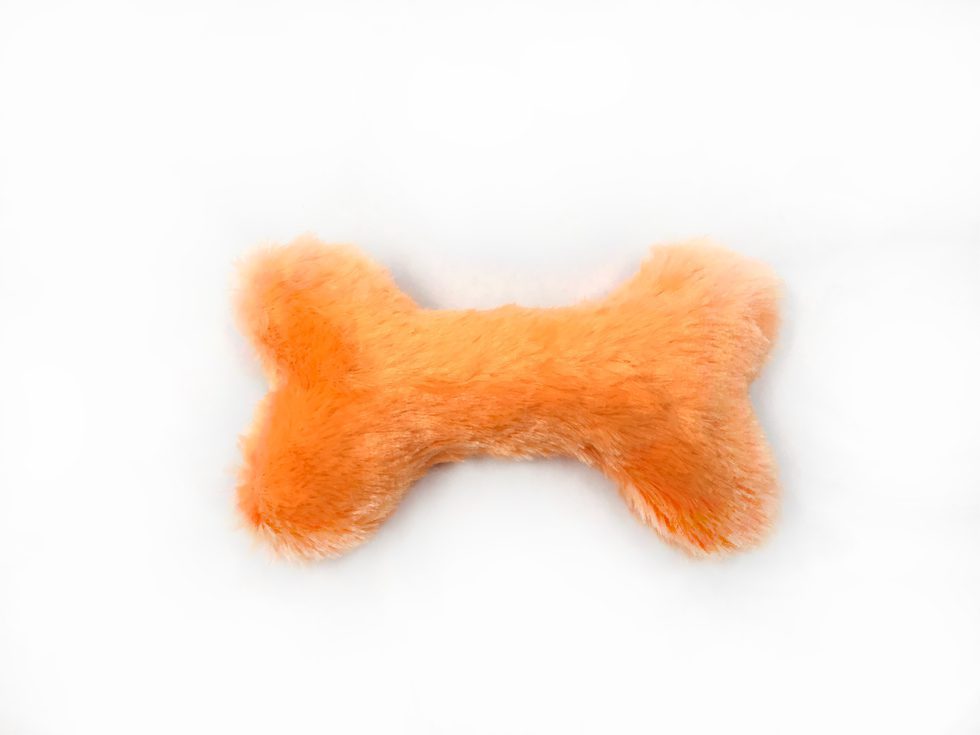 Paw Bone - Orange