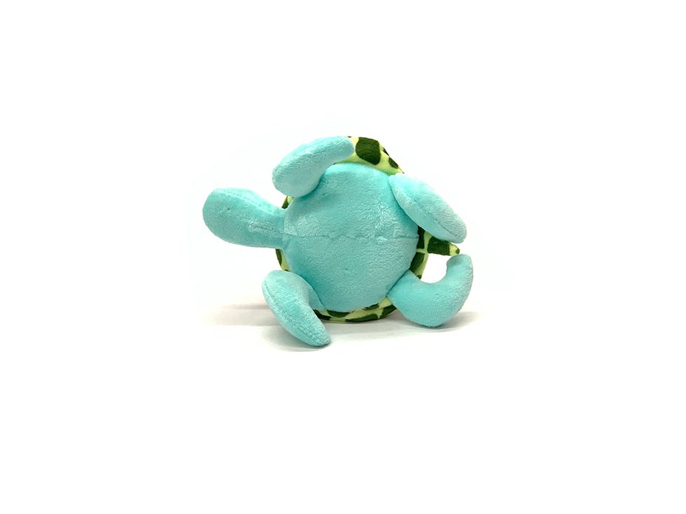 Sedrick the Sea Turtle