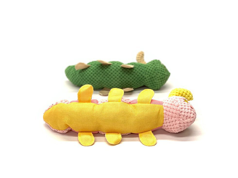 Cappy the Caterpillar