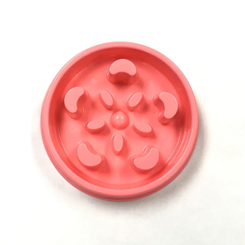 Interactive Bloat Stop Slow Feeder Dog Bowl