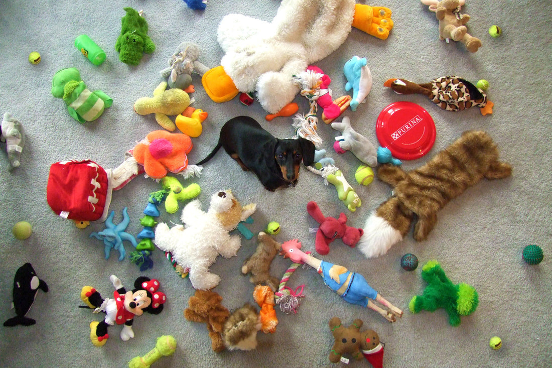 Why Dog People Seem To Love The Unlimited Toy Club