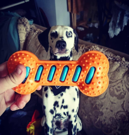 Dog toy of the month club deals