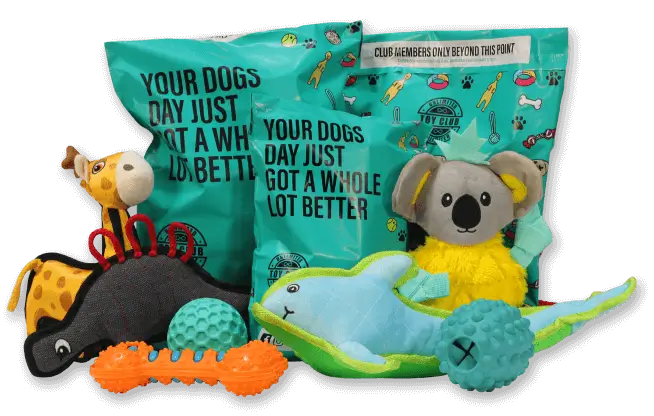 Dog toy club deals