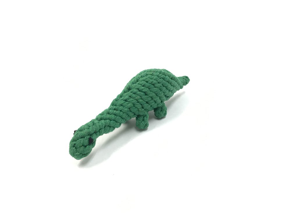 Dinosaur Rope