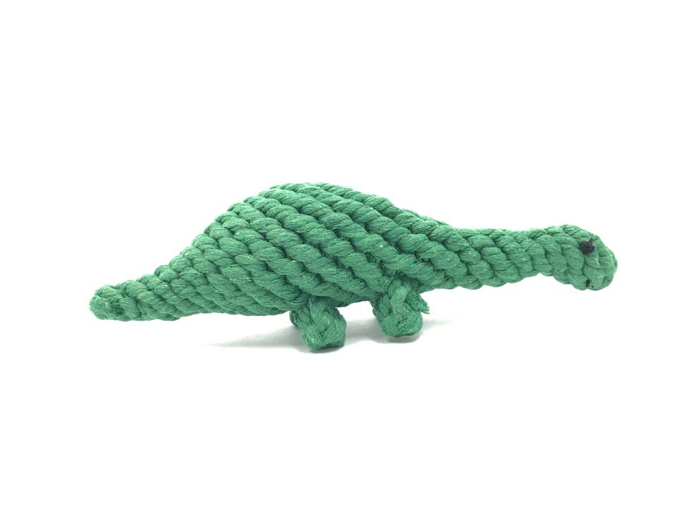 Dinosaur Rope