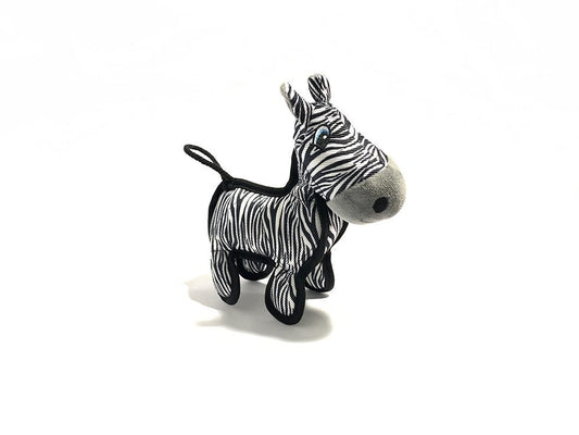 Zion the Zebra