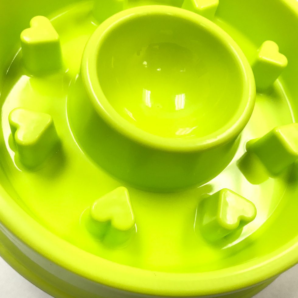 Interactive Bloat Stop Slow Feeder Dog Bowl