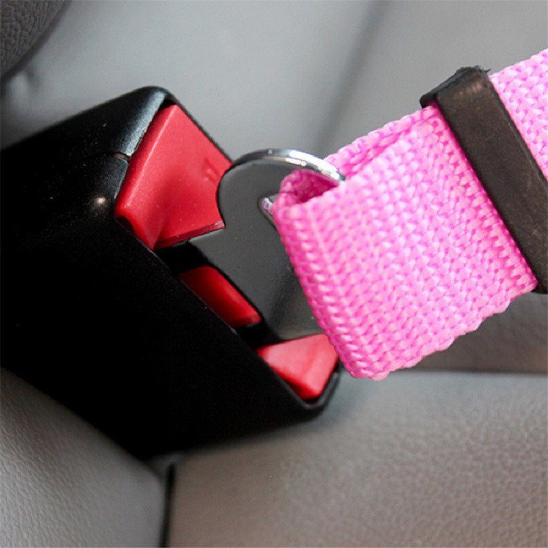 Adjustable Safety Belt