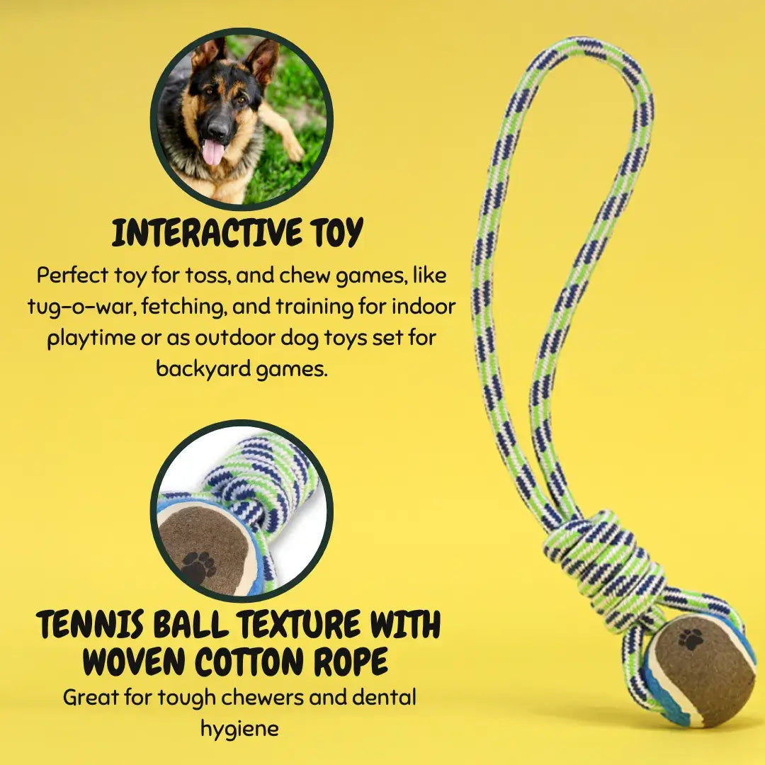 Tug O War Tennis Ball